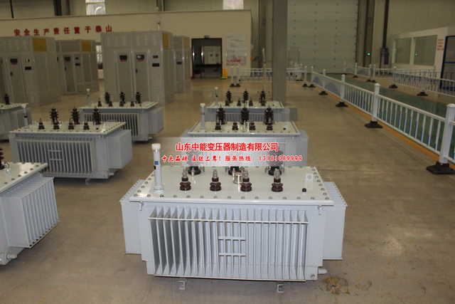 东乌珠穆沁S20变压器